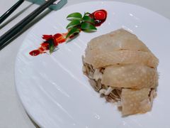 -蝶园·装修中(BFC外滩金融中心店)