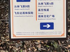-西双版纳原始森林公园