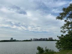-金银湖国家城市湿地公园