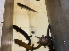 -鄱阳湖·江西小炒·瓦罐煨汤(五道口店)