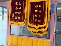 -全心全意连锁动物医院·微创中心·内科急重症·心脏专科(丰管路店)