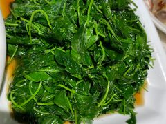 -阿莉餐厅(枣阳路店)