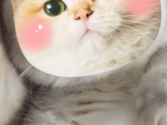 -爱侣宠医·鹦鹉专科·小型哺乳类·异宠专科(灵石路店)