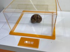 -石景山科技馆