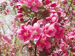 -长白岛森林公园