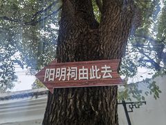 -阳明祠