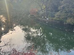 -西湖游船