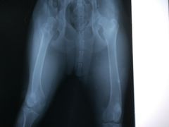 -骐奇宠物诊疗中心(南亭公路店)