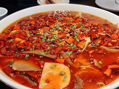 -陈麻婆豆腐总店