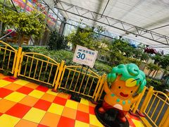 -南宫五洲植物乐园