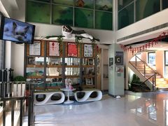 -奈斯宠物医院·核磁CT·异宠专科·内镜(中南店)
