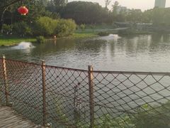 -滨湖塘西河公园