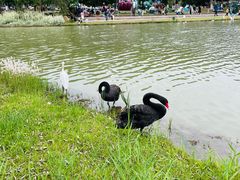 -琅岐红光湖公园