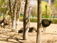 -长白岛森林公园