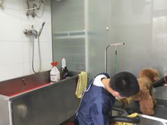 -天雅宠物(绿岛苑店)