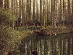 怡沁园度假村-上海怡沁园度假酒店