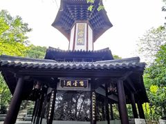 -上海佘山国家森林公园天马山园