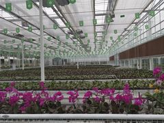 -兰陵国家农业公园