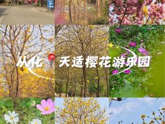 -天适樱花悠乐园