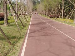 -白鹭湾湿地公园