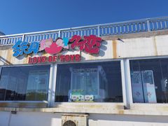 -北戴河碧螺塔海上酒吧公园