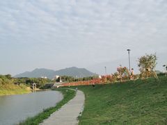-坪山湿地公园