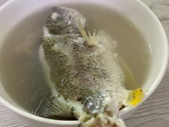 -顺和隆炖罐