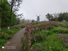 -铁山坪森林公园