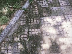 -西北农林科技大学(北校区)