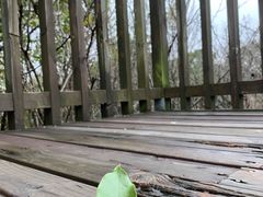 -白塘生态植物园