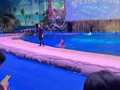 -华夏文旅海洋公园