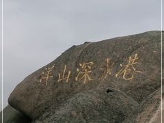 -洋山深水港