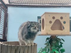 -青藏高原野生动物园