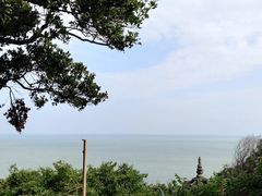 -珞珈山-售票处