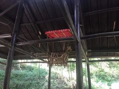 -藏龙百瀑风景区