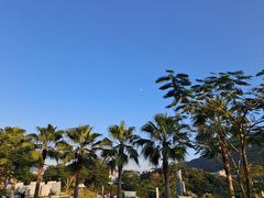 -白石龙音乐公园
