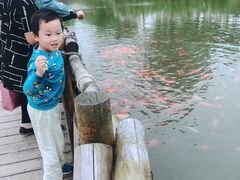 -学知乐教育·幼小衔接·小学科辅导(嘉定镇校区)
