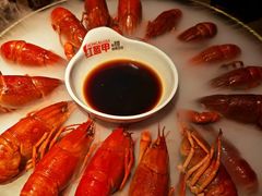 -红盔甲·小龙虾(车公庙店)