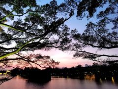-江心屿景区