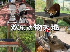 -水上乐园·欢乐世界