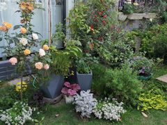 -桤木河湿地公园