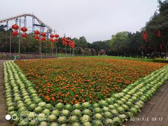 -雀儿山公园