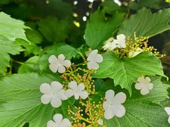 -大连植物园