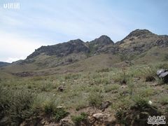 -新疆天山野生动物园