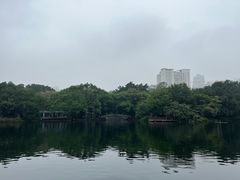 -荔湾湖公园