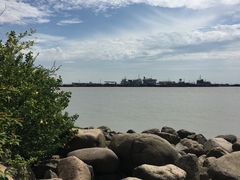 -吴淞炮台湾湿地森林公园烧烤区
