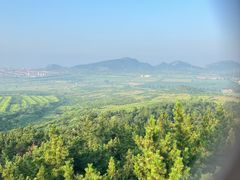 -摩天岭风景区