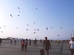 -东港音乐喷泉广场