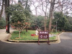-灵谷景区