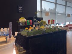 -奔驰上海利星(七宝店)